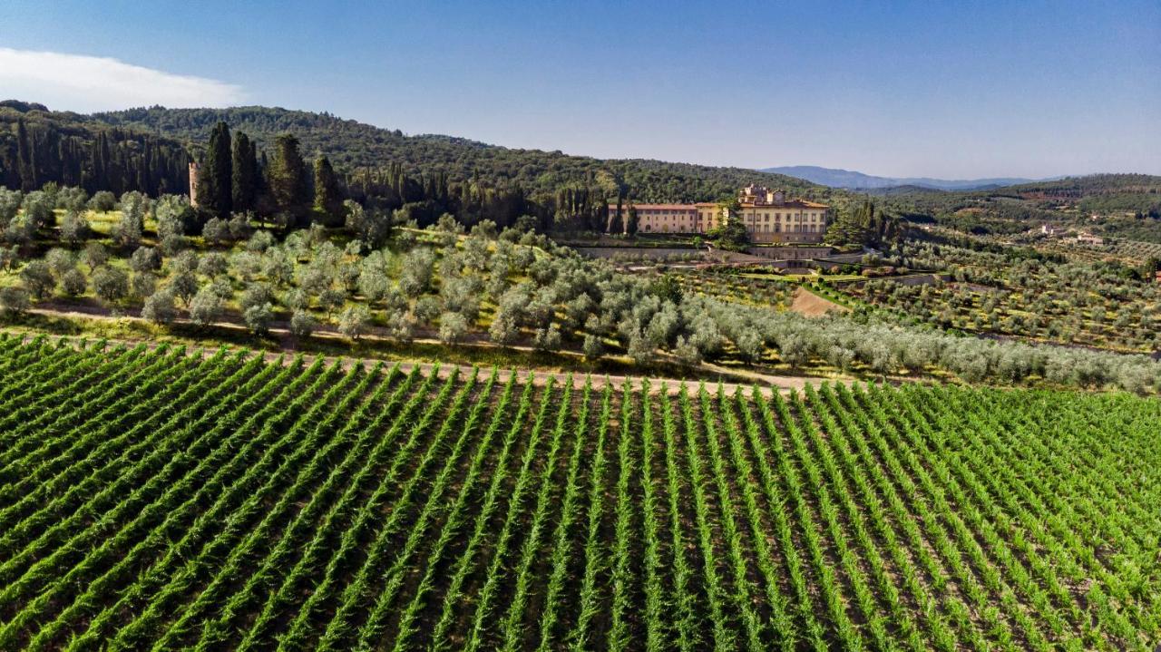 Torre A Cona Wine Estate Hotel San Donato in Collina Ngoại thất bức ảnh