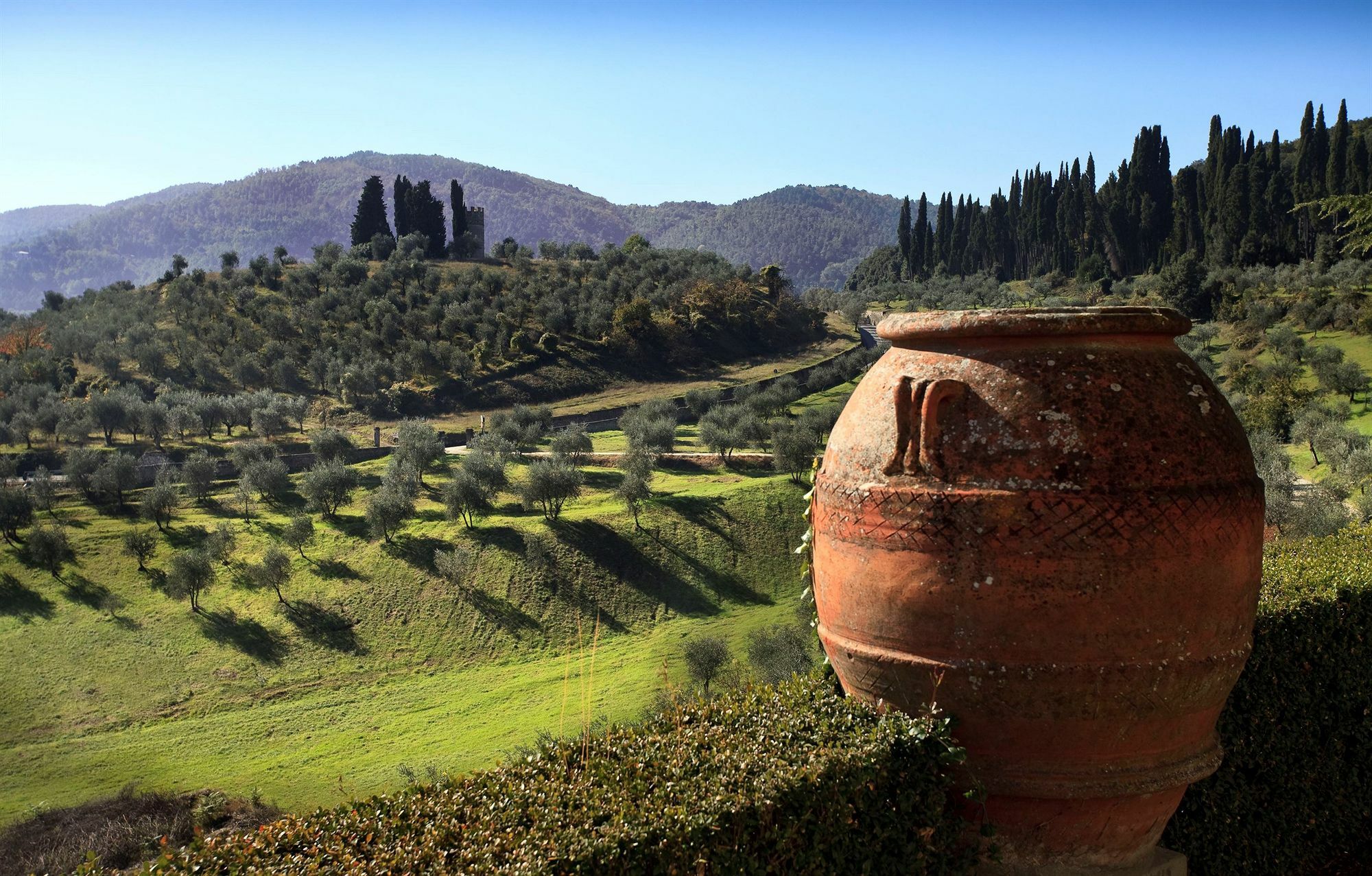 Torre A Cona Wine Estate Hotel San Donato in Collina Ngoại thất bức ảnh