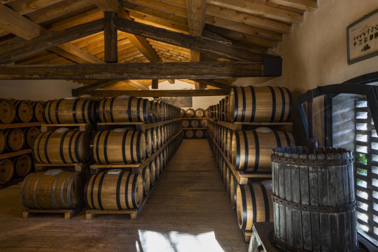 Torre A Cona Wine Estate Hotel San Donato in Collina Ngoại thất bức ảnh
